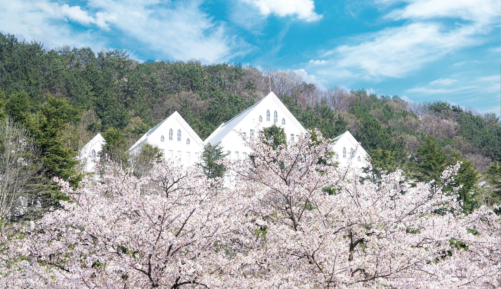 봄, 여름 전경 대표이미지