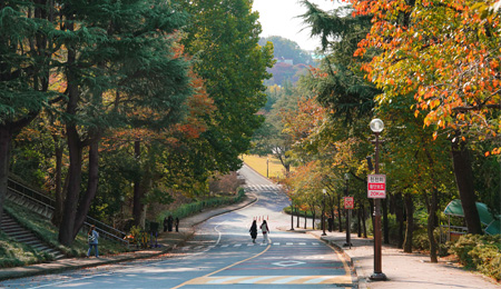 창업·글로컬·건축 성과로 ‘미래 경쟁력’ 증명하다