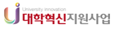 대학혁신사업지원단